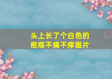 头上长了个白色的疙瘩不痛不痒图片