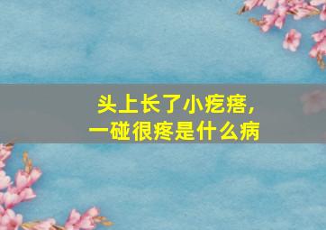 头上长了小疙瘩,一碰很疼是什么病