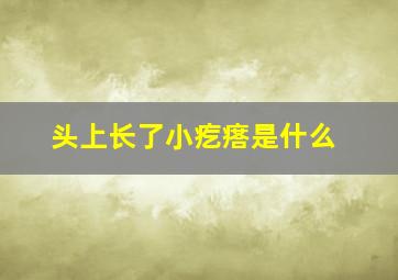 头上长了小疙瘩是什么