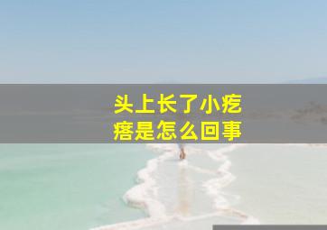 头上长了小疙瘩是怎么回事