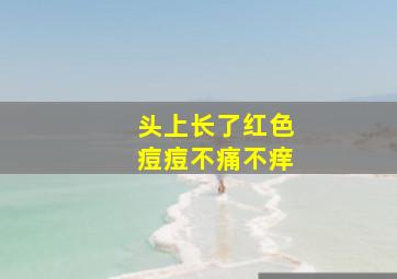 头上长了红色痘痘不痛不痒