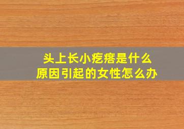 头上长小疙瘩是什么原因引起的女性怎么办