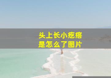 头上长小疙瘩是怎么了图片