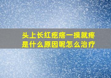 头上长红疙瘩一摸就疼是什么原因呢怎么治疗