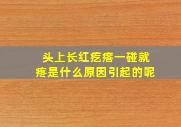 头上长红疙瘩一碰就疼是什么原因引起的呢