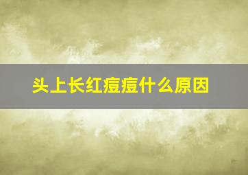 头上长红痘痘什么原因