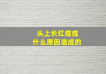 头上长红痘痘什么原因造成的