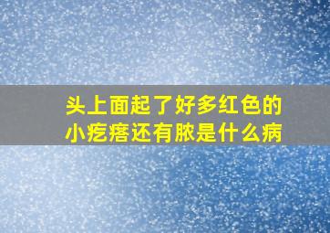 头上面起了好多红色的小疙瘩还有脓是什么病