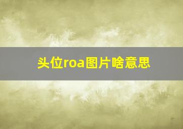 头位roa图片啥意思