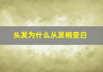 头发为什么从发梢变白