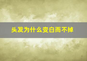 头发为什么变白而不掉