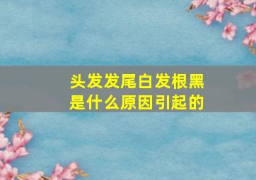 头发发尾白发根黑是什么原因引起的