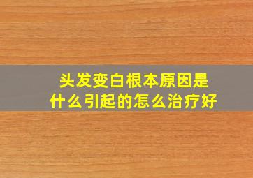 头发变白根本原因是什么引起的怎么治疗好