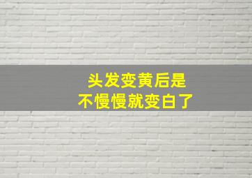 头发变黄后是不慢慢就变白了