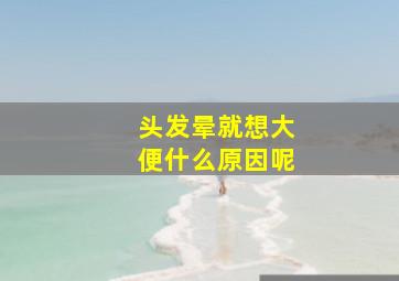 头发晕就想大便什么原因呢