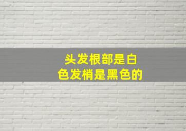 头发根部是白色发梢是黑色的