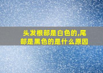 头发根部是白色的,尾部是黑色的是什么原因