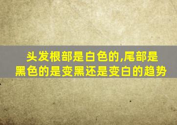 头发根部是白色的,尾部是黑色的是变黑还是变白的趋势