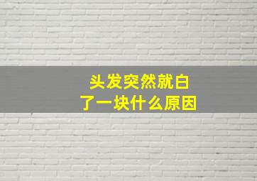 头发突然就白了一块什么原因