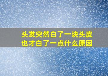 头发突然白了一块头皮也才白了一点什么原因