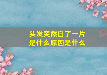 头发突然白了一片是什么原因是什么