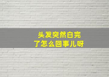 头发突然白完了怎么回事儿呀