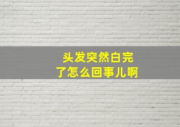 头发突然白完了怎么回事儿啊