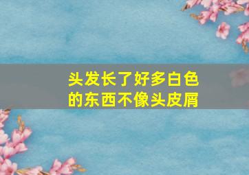 头发长了好多白色的东西不像头皮屑