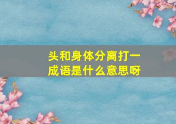 头和身体分离打一成语是什么意思呀