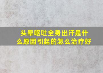 头晕呕吐全身出汗是什么原因引起的怎么治疗好