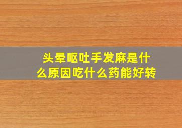 头晕呕吐手发麻是什么原因吃什么药能好转