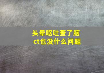 头晕呕吐查了脑ct也没什么问题