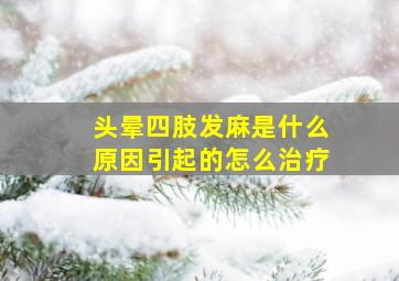 头晕四肢发麻是什么原因引起的怎么治疗