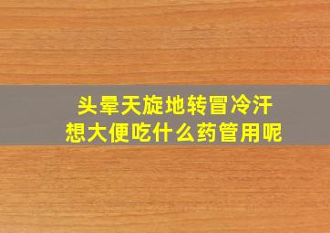 头晕天旋地转冒冷汗想大便吃什么药管用呢