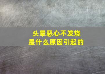 头晕恶心不发烧是什么原因引起的