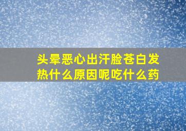 头晕恶心出汗脸苍白发热什么原因呢吃什么药