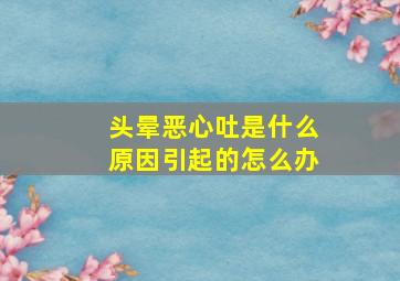 头晕恶心吐是什么原因引起的怎么办