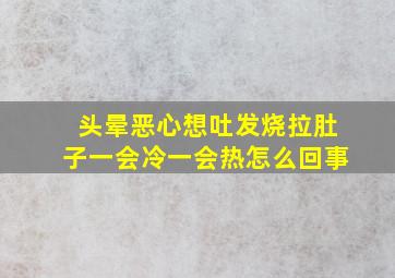 头晕恶心想吐发烧拉肚子一会冷一会热怎么回事