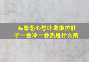 头晕恶心想吐发烧拉肚子一会冷一会热是什么病