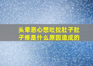 头晕恶心想吐拉肚子肚子疼是什么原因造成的