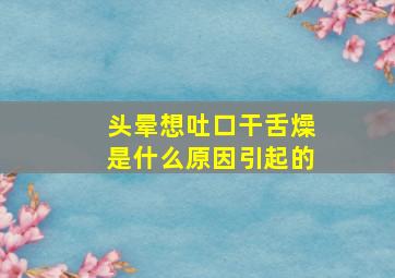 头晕想吐口干舌燥是什么原因引起的