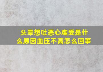 头晕想吐恶心难受是什么原因血压不高怎么回事