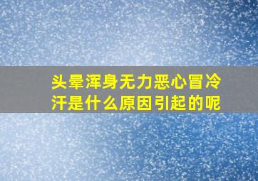 头晕浑身无力恶心冒冷汗是什么原因引起的呢