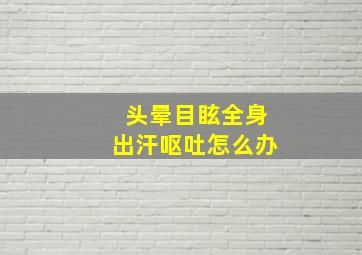 头晕目眩全身出汗呕吐怎么办