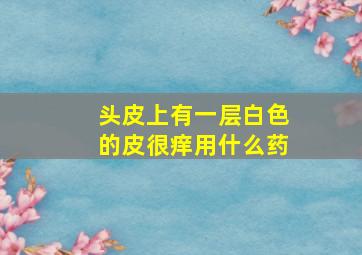 头皮上有一层白色的皮很痒用什么药