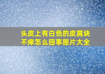 头皮上有白色的皮屑块不痒怎么回事图片大全