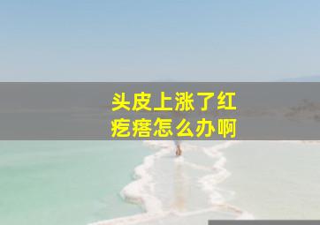 头皮上涨了红疙瘩怎么办啊