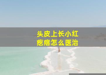 头皮上长小红疙瘩怎么医治