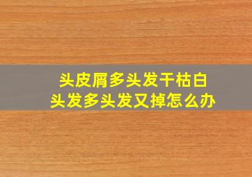 头皮屑多头发干枯白头发多头发又掉怎么办