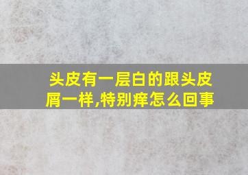 头皮有一层白的跟头皮屑一样,特别痒怎么回事